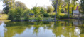 /album/fotogalerie-uvod-a-fotogalerie2/img-20250827-171216-jpg/