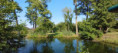 /album/fotogalerie-uvod-a-fotogalerie2/img-20250827-165225-jpg/