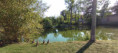 /album/fotogalerie-uvod-a-fotogalerie2/img-20250827-164522-jpg/